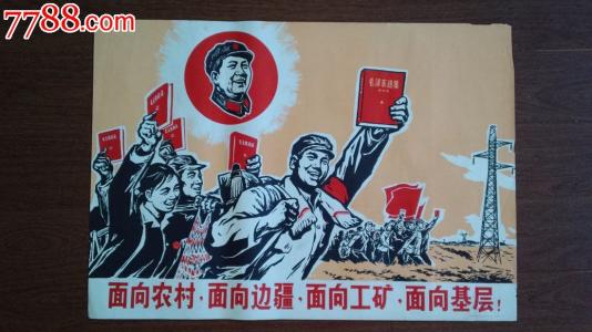 大专学历证书真实样板